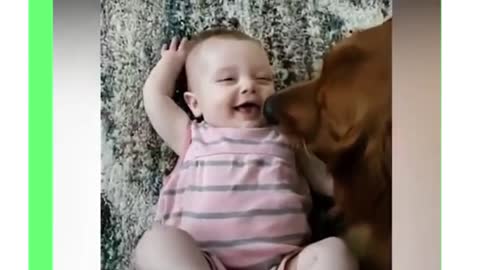 Beautiful babies and dogs
