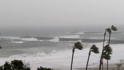 STORM WAVES CLOSEOUT NEWPORT HARBOR 2/17/17