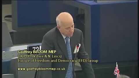 Godfrey Bloom at the European Parliament, 2013.