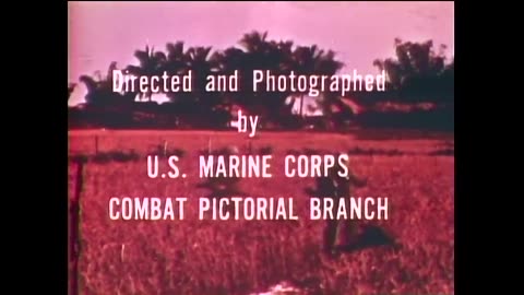 Watch This To See What Marines Saw Fighting In Vietnam - Directed by U.S Marine Corps