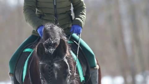 A woman riding a brown horse in the winter forest