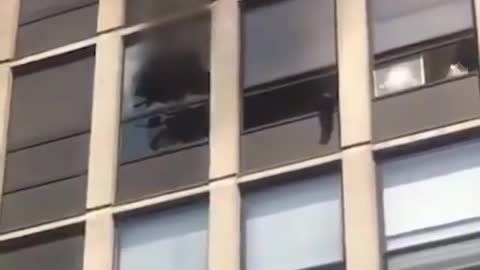CAT jumps out of a BUILDING ON FIRE 🔥 and escapes😳🐱