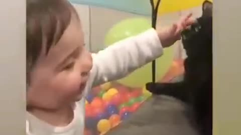 Baby playing with cute cat | cute cate videos|baby playing with animals
