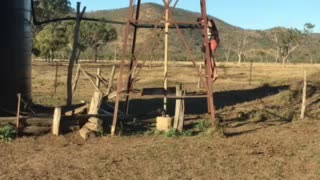 Australian windmill