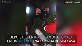 Cão resgatado por bombeiros de cozinha em chamas