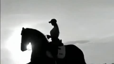 The equestrian