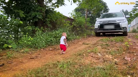 Dad Takes BiBi To Harvest Papaya and Cook