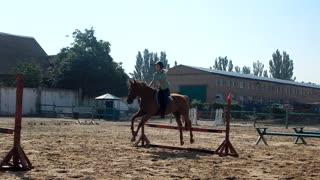 Horseback Riding! Jumping!