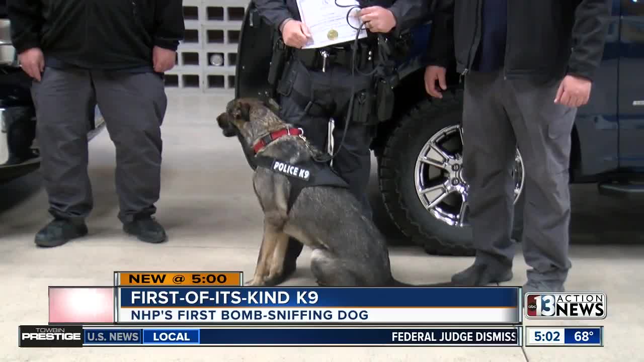 NHP welcomes agency's first bomb-sniffing dog