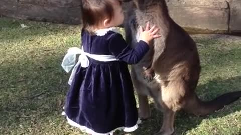 year-old cuddles with baby kangaroo
