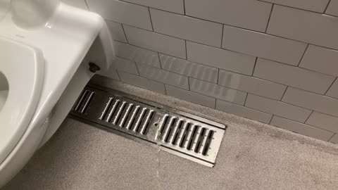 floor drain urination