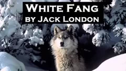 White Fang by Jack London