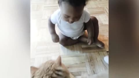 funny moment cat and baby reaction