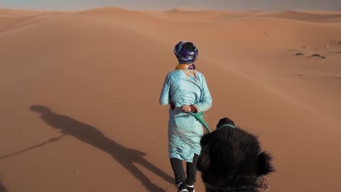 Beautiful Desert Caravan Sahara