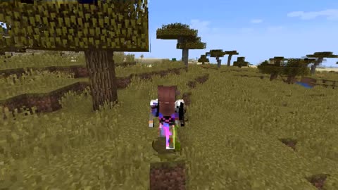 Minecraft 1.17.1_ Modded_Shorts_Outting_9