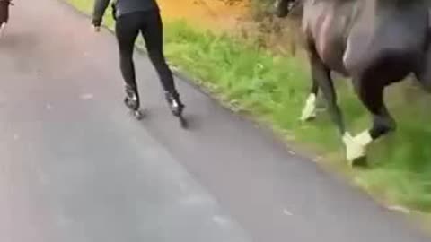 Exercise with horse and dog