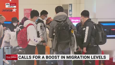Calls for migration boost to bolster workforce