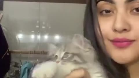 Cat playing for hot girls