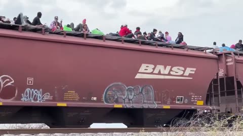 (Movie) Train of Illegals