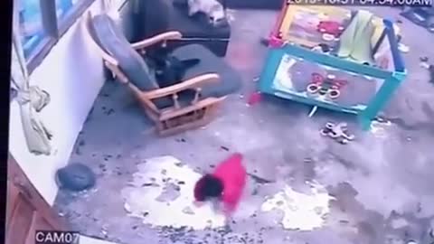 cats save baby from falling down the stars