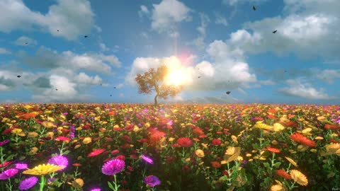 Beautiful scenery with full of flowers on which butterflies are hovering