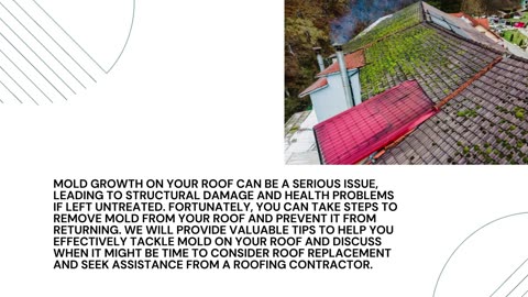 Tips to Remove Mold from Your Roof at Home