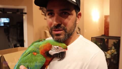 My talking funny parrot