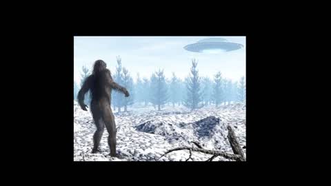 Bigfoot Alien Connection