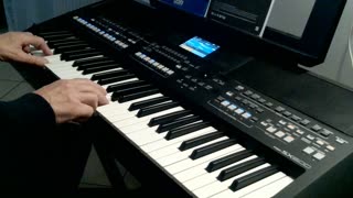 Het kleine café aan de haven (Vader Abraham) cover by Henry, Yamaha PSR-SX600