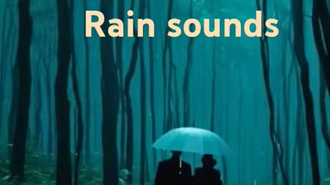 [HealingCatTV]Music and ASMR - Rain Sounds For Relaxing_2