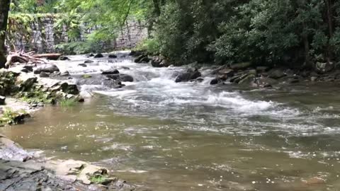 Stream in the Great Smoky Mountains