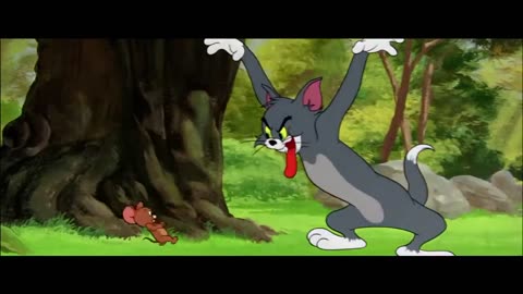 Cartoons tom & Jerry