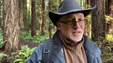 Walk/Talk in the Redwoods