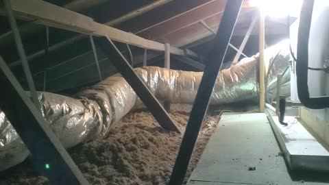 Attic Insulation