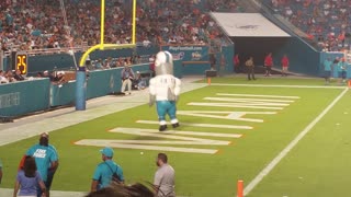 Dolphin mascot jumping on his head