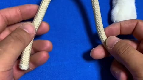 How to Tie the knotting skills in life, you can learn at a glance #38