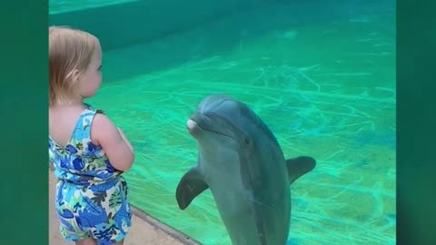 Dolphin chats with little girl- ‘He’s talking to you!’