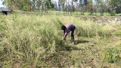 Poor Villagers Live Their Lives Like This. !! Real Life India Daily Routine In UP