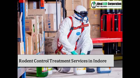 Rodent Control Treatment Services in Indore – IdealASR
