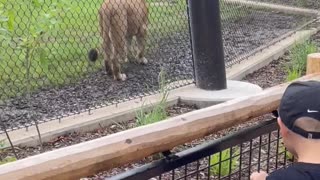 Kids Learn A Fact Of Life At The Zoo