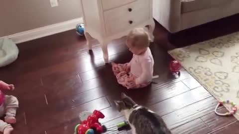 Cutie Cats & Laughing Baby Play Together -Dogs & Cats kids & Babies funny play awesome to WATCH- LOL