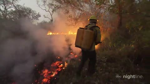 Amazon rainforest on fire: ‘Lungs of the world’ in flames l Nightline