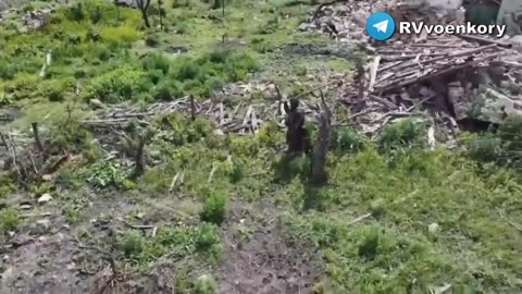 A serviceman of the Russian Armed Forces drives away a Ukrainian drone with a stick.