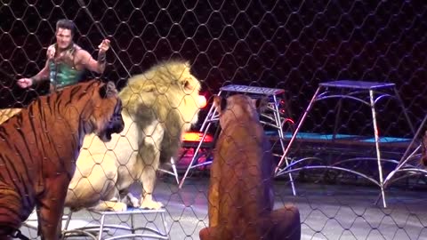 Ringling Brother' Tigers and Lions show. best training