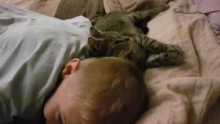 Gatito se vincula adorablemente con un pequeño