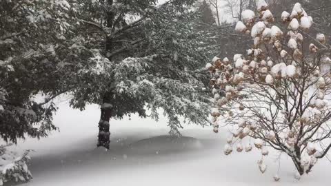 Short clip Snowfall in New England