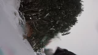 SNowdog POV