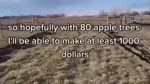 Apple tax deduction plan in Idaho. Preety good ideea