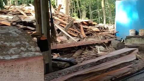 The Process Of Sawing Mahogany Wood Is Large And Expensive With Manual Labor