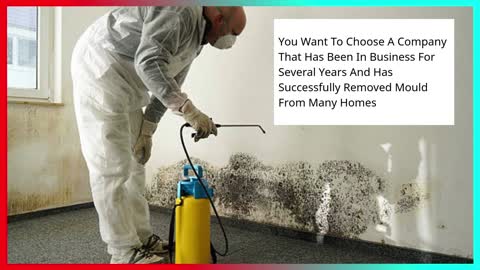 Toronto Mould Remediation | Toronto Mold Asbestos Removal Pros | +16477996607